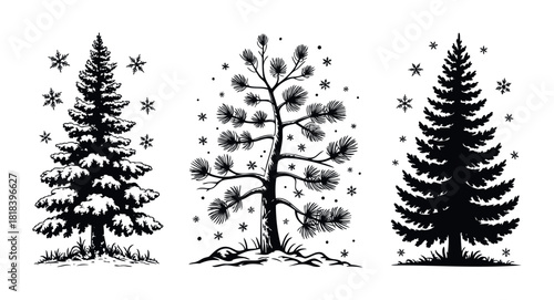 Collection of evergreen forest trees depicting different styles of winter conifers and falling snowflakes perfect for seasonal greeting visuals and outdoor nature inspired projects