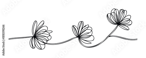 Minimalist black outline flowers connected by elegant double stems creating a decorative botanical design perfect for packaging stationery or contemporary product branding
