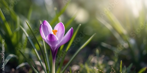 Green leaves and flowers ne...