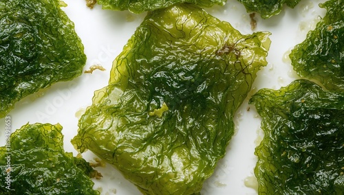 Isolated green seaweed shee...