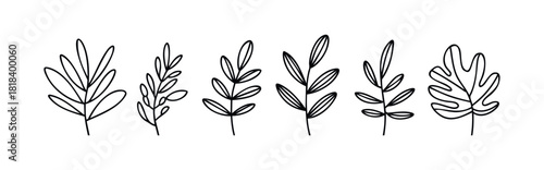 Minimalist outline botanical branches and leaves in a modern doodle style perfect for nature inspired graphic resources and decorative design elements