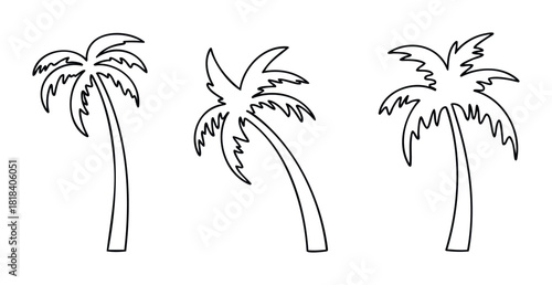 Black outline drawings of various palm trees evoke a tropical vacation or beach holiday for travel brochures, summer event invitations, or website graphics