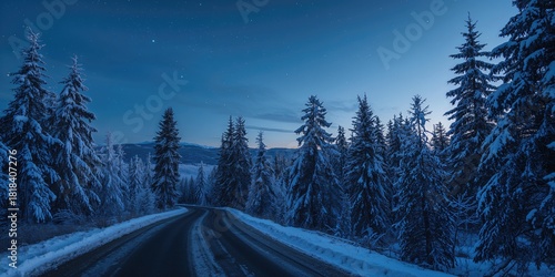 Snow-covered winter forest ...