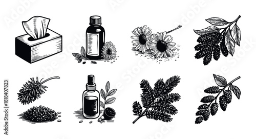 Detailed botanical graphics of natural remedies and health items like a tissue box, essential oil bottles, chamomile flowers, and various plant branches ideal for holistic wellness product