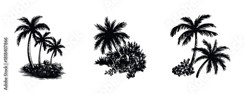 Tropical palm trees collection in a hand drawn silhouette style perfect for summer vacation themed print materials travel brochures and beach resort marketing graphics.