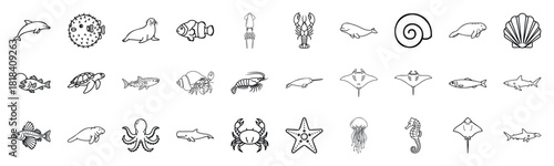 Collection of marine life icons including dolphins, fish, whales, sharks, crabs, jellyfish, and starfish perfect for ocean themed projects and educational materials