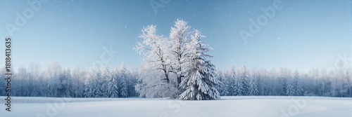 Winter landscape of a snow-...