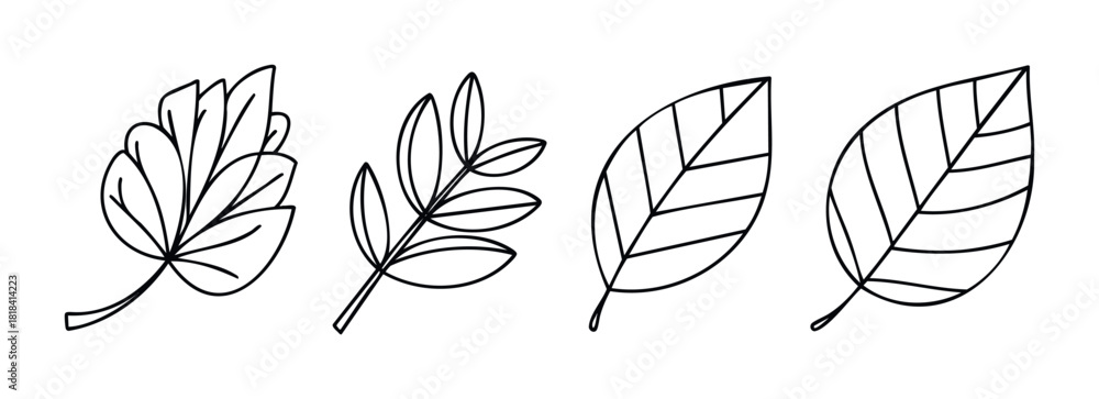 Fototapeta premium Collection of simple line drawings of different types of leaves for organic, nature, and botanical themes.
