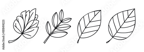 Collection of simple line drawings of different types of leaves for organic, nature, and botanical themes.