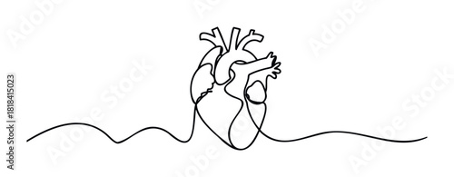 Continuous line drawing of human heart representing life force and medical concepts, perfect for healthcare, science, and wellbeing themes in marketing and media projects.