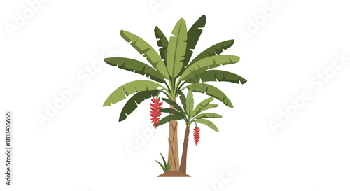 Tropical Banana Tree Illustration with Blooming Red Flowers in Jungle Style Landscape, Vector Art Graphics for Vacation Themed Content, 150 characters