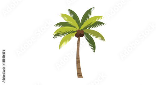 Stylized Coconut Palm Tree with Green Fronds and Brown Trunk on White Backdrop