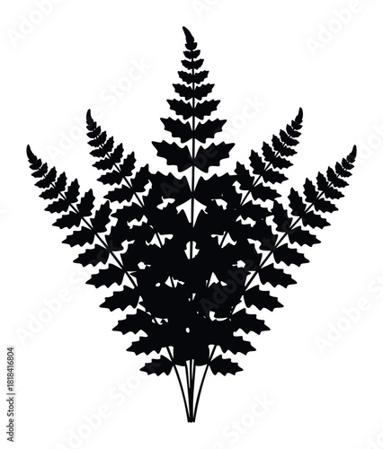 Black silhouette of a fern frond spread out like a fan, perfect for nature themes, botanical graphics, and organic aesthetics in various applications.