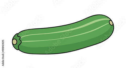 Vibrant illustration of a fresh green zucchini squash with clear outlines and subtle color gradations, appealing against a white background