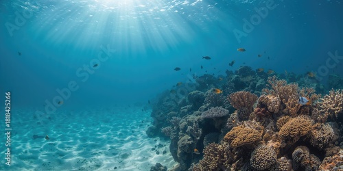 Coral reef with hard corals...