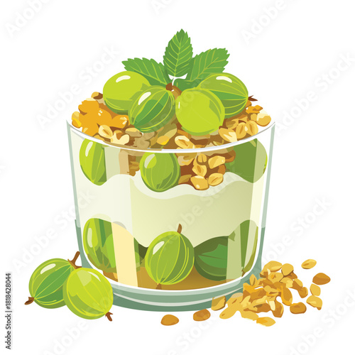 Healthy granola parfait with yogurt and green gooseberries in glass decorated with mint for organic breakfast snack - Vector Illustration
