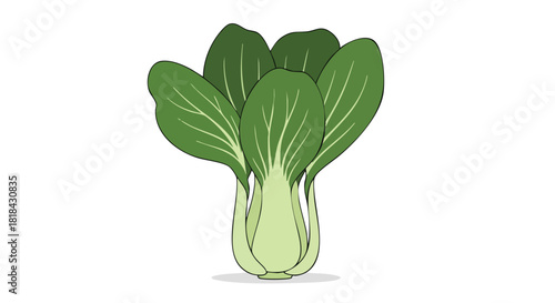 Vibrant bok choy illustration portraying freshness, showcasing organic produce with a detailed cartoonish style vegetable on a white backdrop