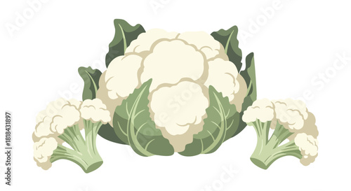 A Trio of Fresh Cauliflowers, Ready for a Healthy and Delicious Culinary Creation Vegetables  Fresh Produce