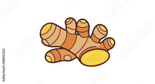 Stylized ginger root illustration with earth-toned hues and outlined shapes emphasizing simplicity and cleanliness in design suitable for wellness