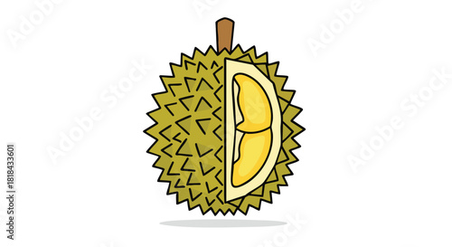Stylized Durian Fruit Cut Illustration Isolated on White Background Depicting Tropical Produce with Distinctive Spiky Outer Layer and Creamy Yellow