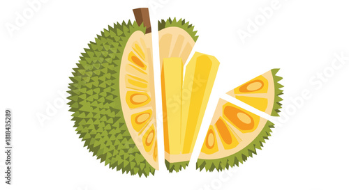 Exotic Durian Fruit Still Life: A vibrant illustration showcasing the spiky skin and segmented yellow pulp of the tropical delight, evoking freshness