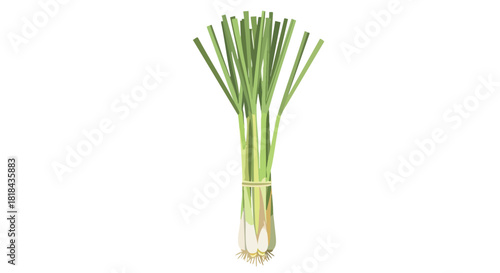 Elegant illustration of a bunch of fresh lemongrass tied with natural twine for culinary and aromatherapy purposes