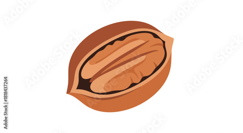 Elegant illustration depicting a shelled pecan nut, showcasing the textured kernel with a soft brown color palette against a bright background