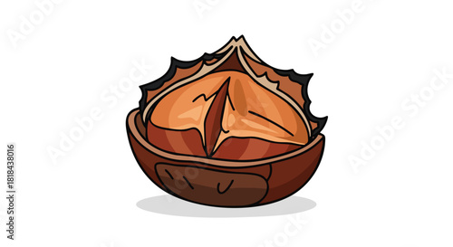 Stylized Chestnut Illustration Showcasing Its Interior Texture and Rich Brown Tones with a white background