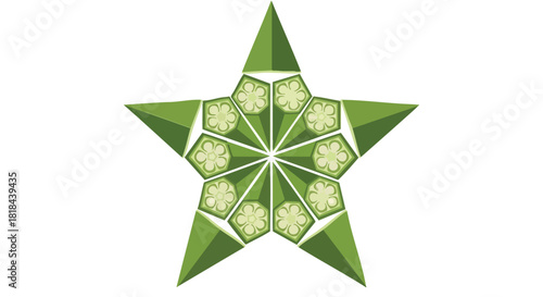 Okra-crafted Star: A unique geometric representation of the vegetable in star formation for culinary and design applications