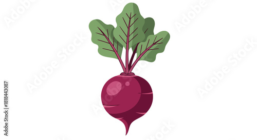 Vibrant Beetroot Illustration with Leafy Top on Plain Background Depicting Freshness and Natural Health Benefits Demonstrating Graphic Design
