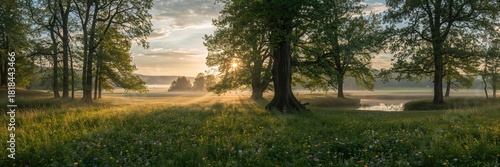 Morning light illuminates a natural landscape emphasizing seasonal change, Nature Shows Its Beauty In The Morning