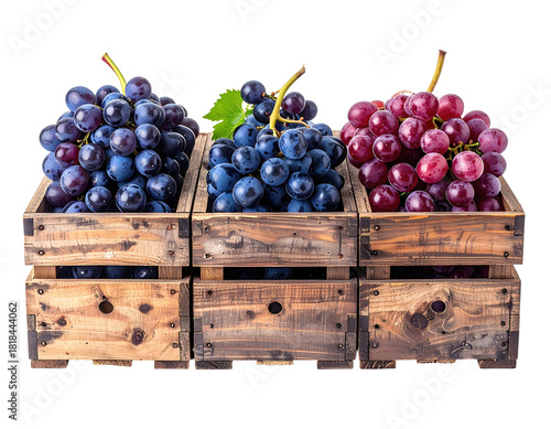 Three wooden crates each filled with different colored grapes, on a black background