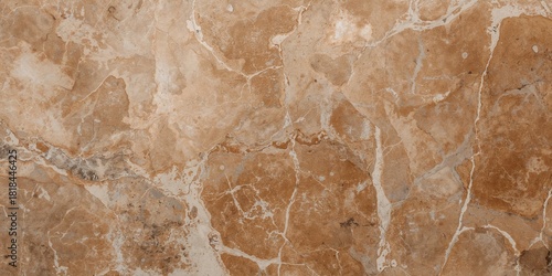 Close-up of human feet wearing sneakers, emphasizing footwear style and activity, summer fashion