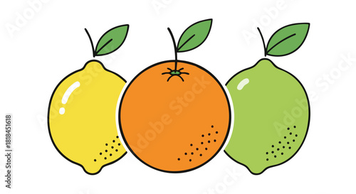 Vibrant Citrus Medley: A Playful Vector Graphic of Lemon, Orange, and Lime, Evoking Freshness and Zesty Flavors in a Clean and Modern Style