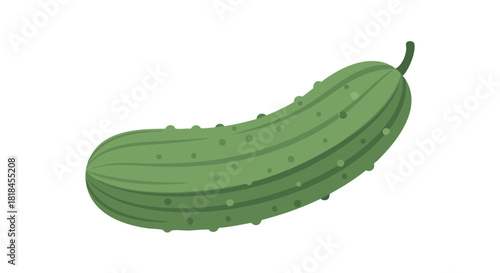 Illustrated green cucumber featuring a smooth skin and rounded form, with a small stem against a plain background and graphic vegetable design