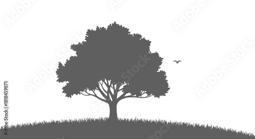 Silhouette tree landscape with bird, creating a tranquil natural scene on a hilltop, conveying simplicity and peace