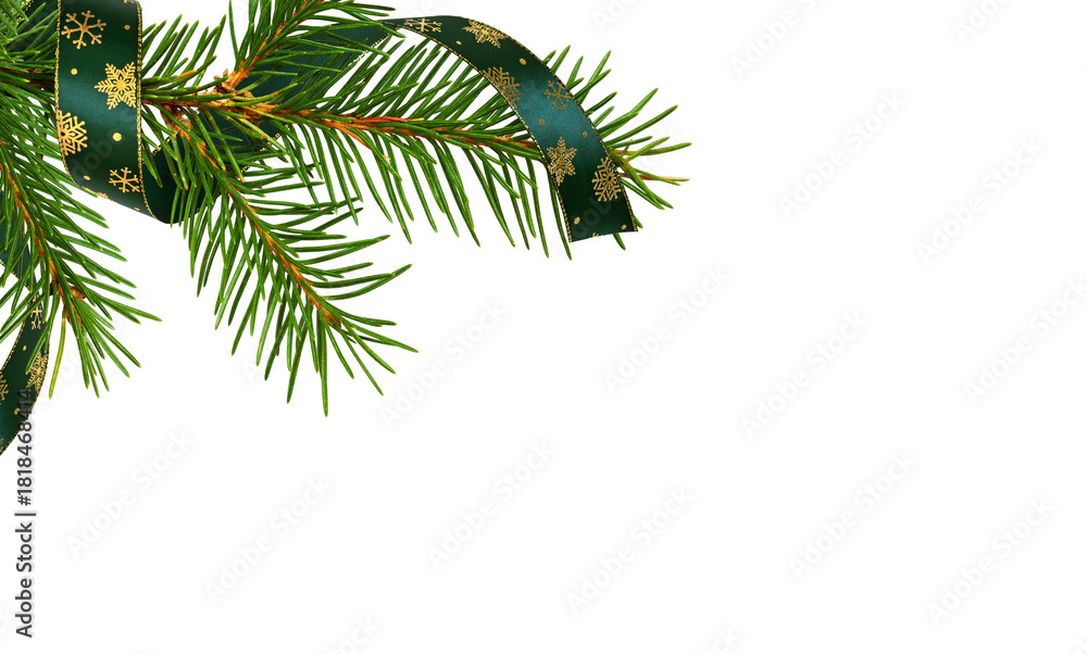 Naklejka premium Twig of Christmas tree with green festive satin ribbon isolated on white or transparent background