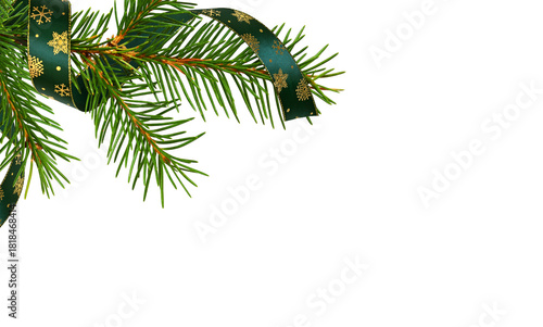 Twig of Christmas tree with...