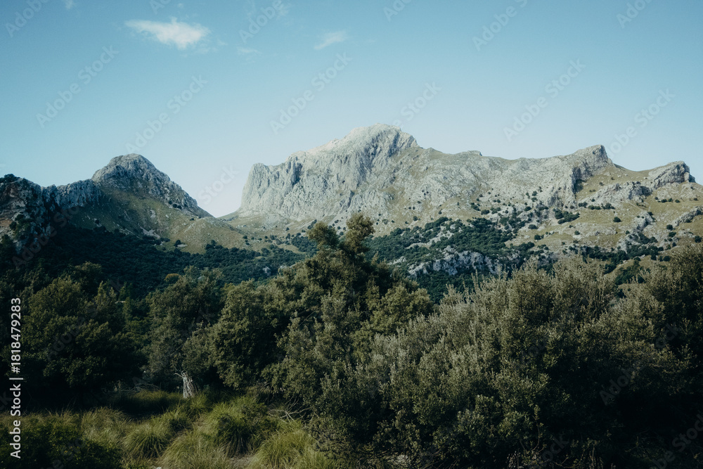 Obraz premium Blick zum Höhenzug des Puig Major in der Serra de Tramuntana in Richtung Bucht von Sa Calobra, Mallorca, Spanien
