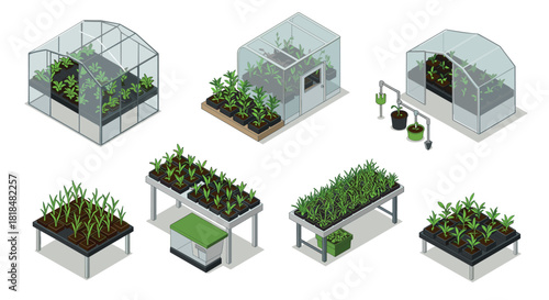 Modern indoor greenhouse designs and innovative hydroponic systems