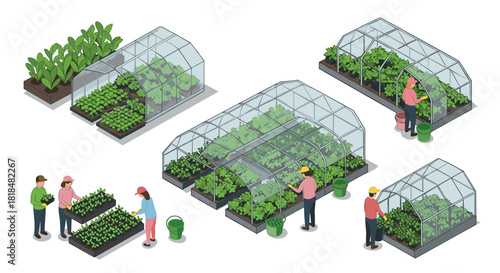 Isometric greenhouse farming with people tending plants and vegetables
