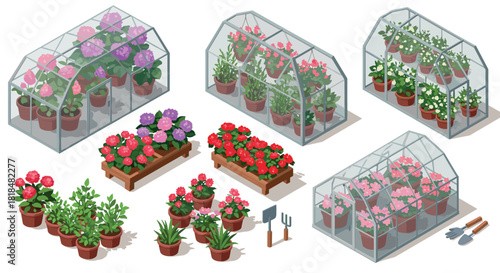 Isometric greenhouses with colorful flowers and gardening tools