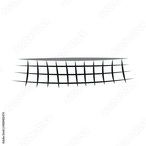 Volleyball Net