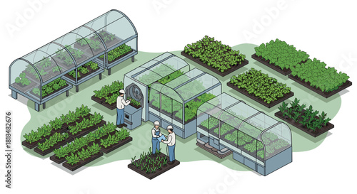 Isometric greenhouse farming sustainable agriculture and modern horticulture technologies