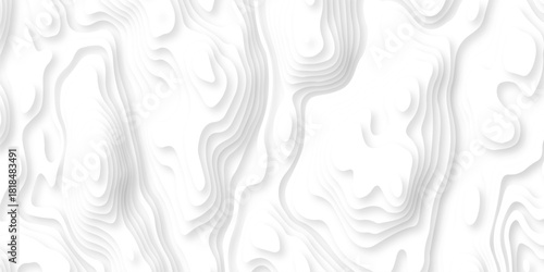 Abstract background vector Abstract wavy line 3d paper cut white background. Abstract pattern with lines. Abstract sea map geographic contour map and topographic contours map background.