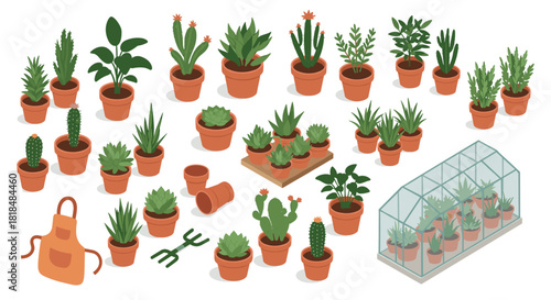 Isometric indoor garden set with various potted plants and gardening tools