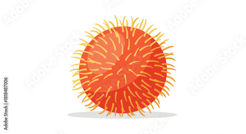 Graphic depiction of a spiky red tropical fruit, stylized and vibrant on a white background creating a simplistic and eye-catching design