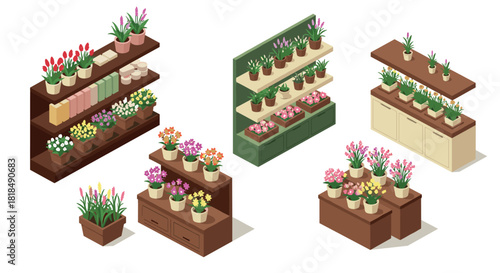 Isometric indoor plant displays with colorful potted flowers on wooden shelves