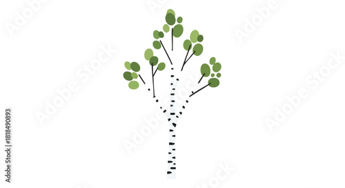 Stylized birch tree illustration with fresh green foliage against a clear white background simple and modern design perfect for various creative