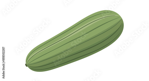 Stylized Single Green Zucchini Illustration Against a White Background Depicting Healthy Diet